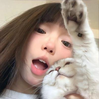 鱼影之群