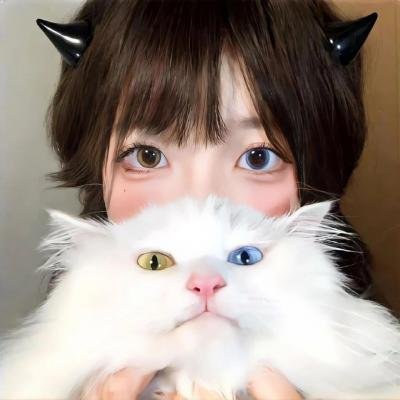 猛鬼街4:梦幻主宰国语